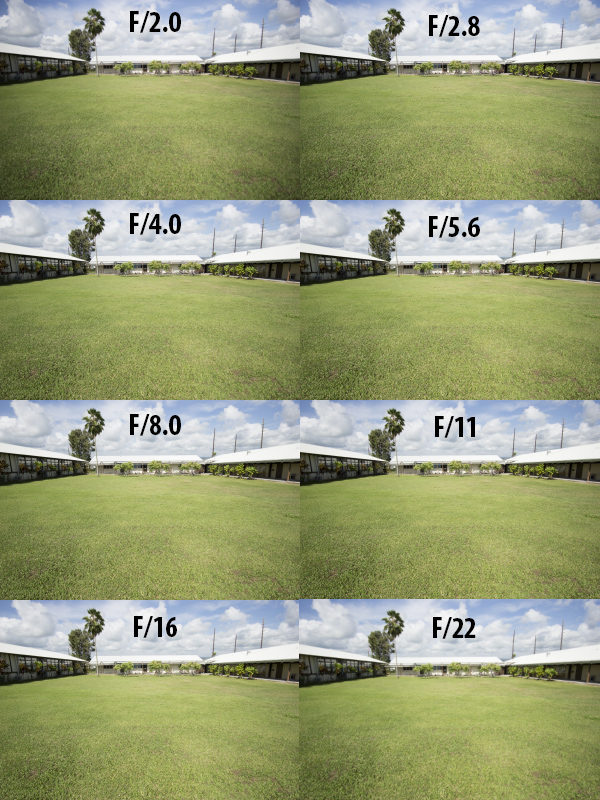 vigenetee comparison